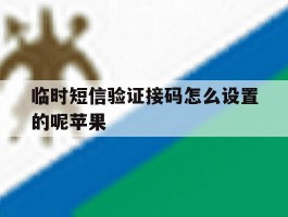 临时短信验证接码怎么设置的呢苹果