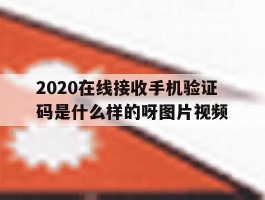 2020在线接收手机验证码是什么样的呀图片视频