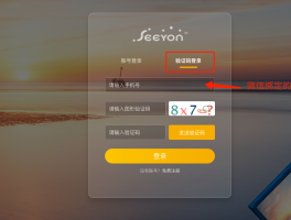 云在线手机验证码怎么输入的