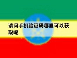 请问手机验证码哪里可以获取呢