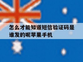 关于怎么才能知道短信验证码是谁发的呢苹果手机的信息
