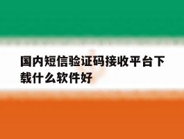 国内短信验证码接收平台下载什么软件好