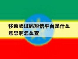 移动验证码短信平台是什么意思啊怎么查
