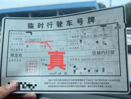 临时号牌会被电子监控处罚吗怎么办理手续的简单介绍