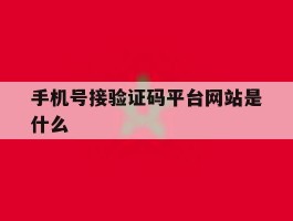 手机号接验证码平台网站是什么