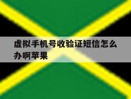 虚拟手机号收验证短信怎么办啊苹果