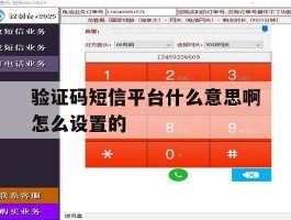 验证码短信平台什么意思啊怎么设置的