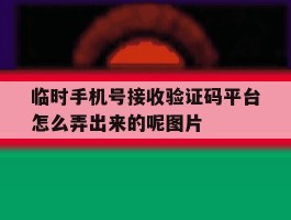 包含临时手机号接收验证码平台怎么弄出来的呢图片的词条