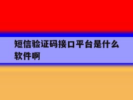 短信验证码接口平台是什么软件啊