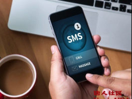 短信接码软件最新版本是什么样的啊