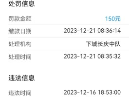 临时号牌能拍到吗现在怎么处罚