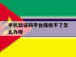 手机验证码平台接收不了怎么办呀的简单介绍