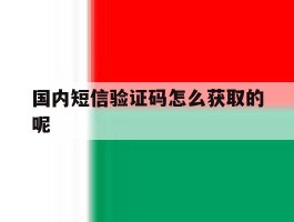 国内短信验证码怎么获取的呢