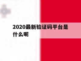 2020最新验证码平台是什么呢的简单介绍