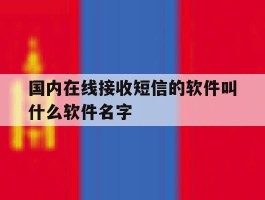 国内在线接收短信的软件叫什么软件名字