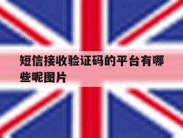短信接收验证码的平台有哪些呢图片