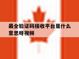 最全验证码接收平台是什么意思呀视频