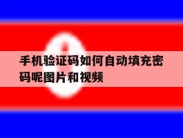 手机验证码如何自动填充密码呢图片和视频