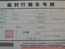 包含临时号牌粘贴位置哪里有规定的呢图片视频的词条