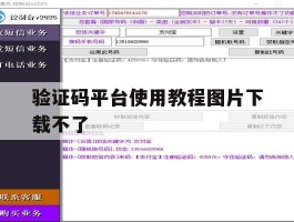 验证码平台使用教程图片下载不了