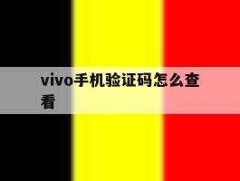 vivo手机验证码怎么查看