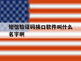 短信验证码接口软件叫什么名字啊