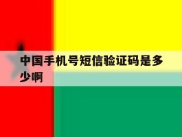 中国手机号短信验证码是多少啊
