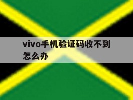 vivo手机验证码收不到怎么办
