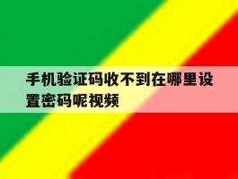 手机验证码收不到在哪里设置密码呢视频