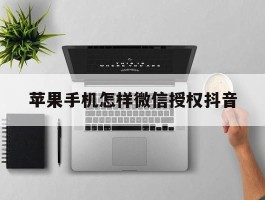 苹果手机怎样微信授权抖音
