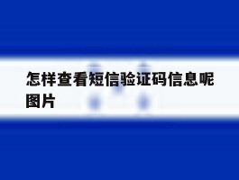 怎样查看短信验证码信息呢图片