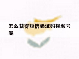 怎么获得短信验证码视频号呢