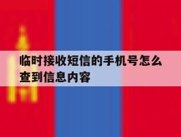 临时接收短信的手机号怎么查到信息内容