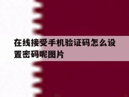 在线接受手机验证码怎么设置密码呢图片的简单介绍