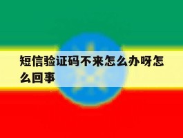 短信验证码不来怎么办呀怎么回事