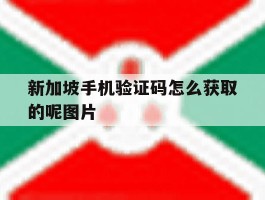 新加坡手机验证码怎么获取的呢图片