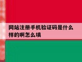 网站注册手机验证码是什么样的啊怎么填