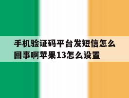 手机验证码平台发短信怎么回事啊苹果13怎么设置的简单介绍