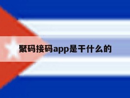 聚码接码app是干什么的