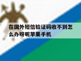 关于在国外短信验证码收不到怎么办呀呢苹果手机的信息