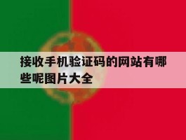 接收手机验证码的网站有哪些呢图片大全