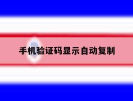 手机验证码显示自动复制