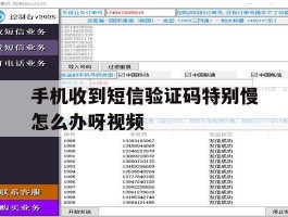 手机收到短信验证码特别慢怎么办呀视频的简单介绍