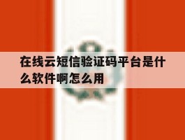 关于在线云短信验证码平台是什么软件啊怎么用的信息