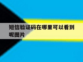 短信验证码在哪里可以看到呢图片