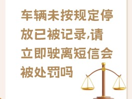 临时号牌车辆违停怎么处理