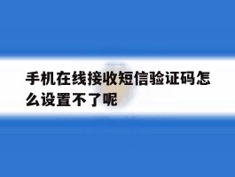 手机在线接收短信验证码怎么设置不了呢的简单介绍