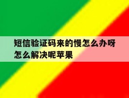 短信验证码来的慢怎么办呀怎么解决呢苹果