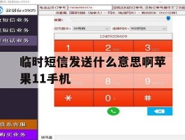 临时短信发送什么意思啊苹果11手机