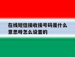 在线短信接收接号码是什么意思呀怎么设置的